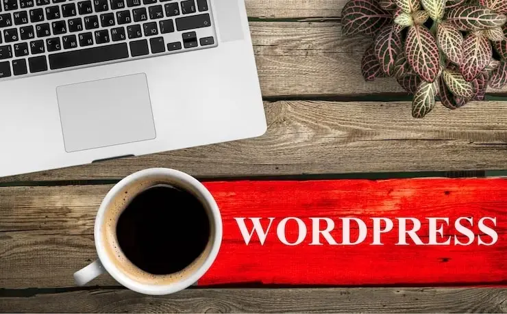 Cons of WordPress 3 Cons of WordPress