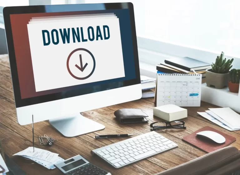 How to do WordPress User Export
